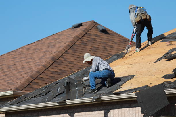 Best Skylight Installation and Repair  in Las Vegas, NV